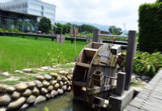 山水米觀光工廠：山水米有機稻場