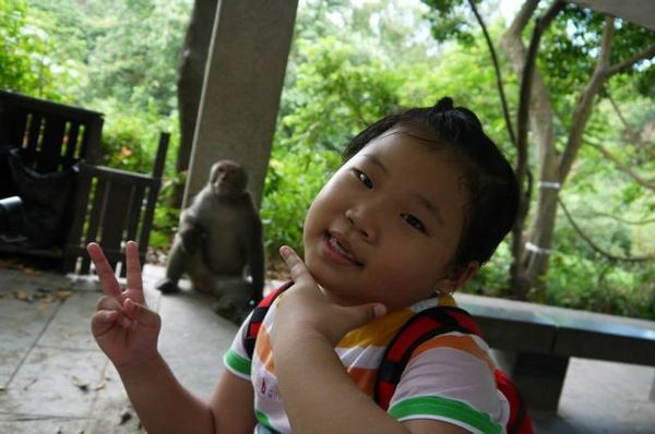二水台灣獮猴區：真的是猴嘸這安捏~~二水豐柏廣場登山步道