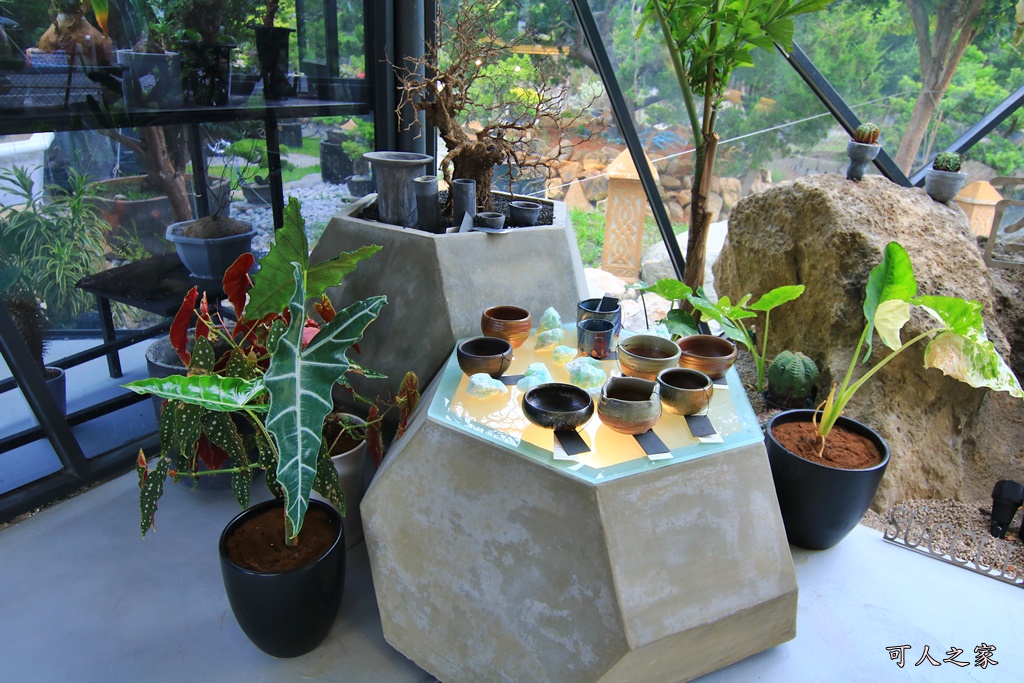 塊根植物,多肉植物,手工盆器,擺件,特殊景觀設計,稀有植物,藝術品,酉 Succulent & Artwork