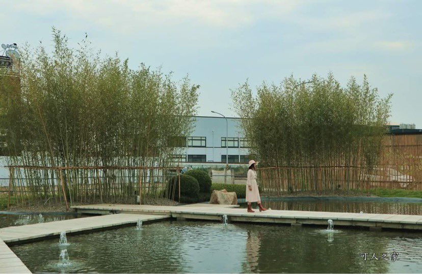 落羽松水景公園