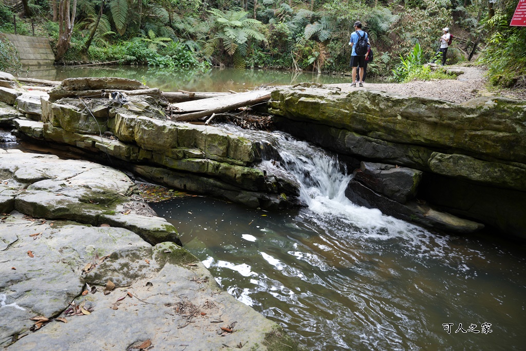 南投瀑布,南投魚池新景點,水上瀑布,澀水森林步道,魚池登山步道