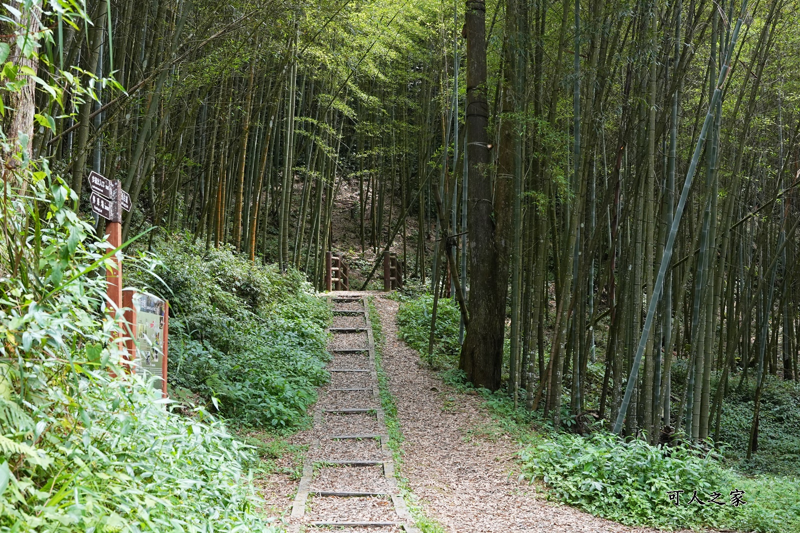 五元兩角,日本京都嵐山,石壁風景區,雲林古坑草嶺,雲林秘境