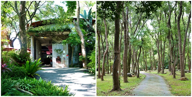 延伸閱讀：苗栗~上田咖啡莊園40年樟樹林，喝啡啡放慢腳步好地方