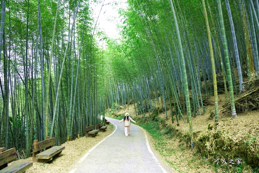 延伸閱讀：嘉義~瑞里綠色隧道（開車到達路線）京都嵐山竹林小徑，觀景台上欣賞茶園風光